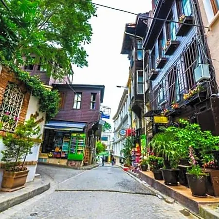 Ottomarin Old 3* Provincia di Istanbul