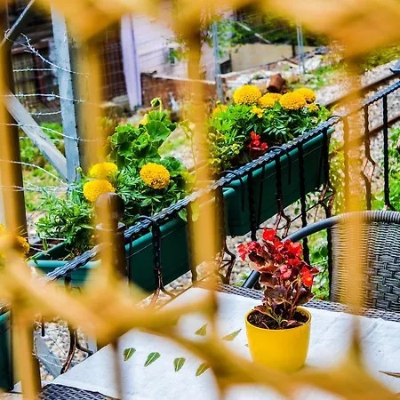 Ottomarin Old Provincia di Istanbul