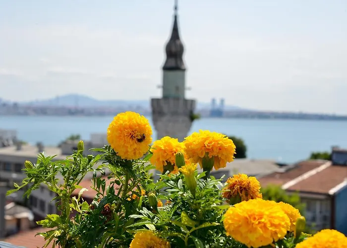 Ottomarin Old מלון