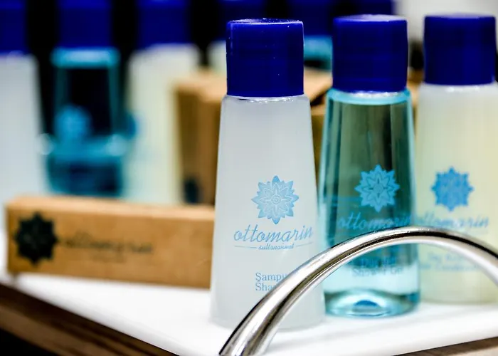 Ottomarin Old מלון 3*