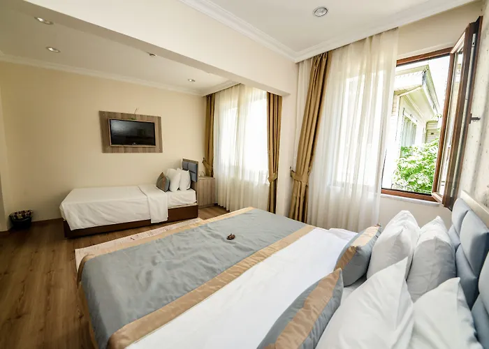 מלון Ottomarin Old 3*