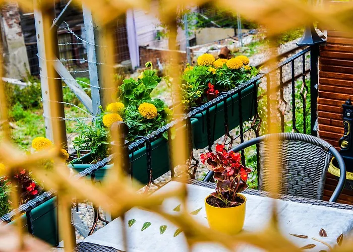 Ottomarin Old איסטמבול