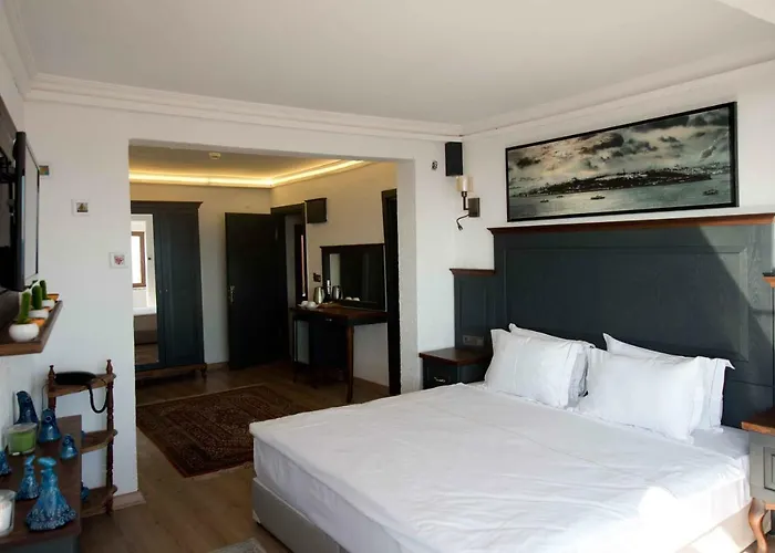 Ottomarin Old 3* איסטמבול