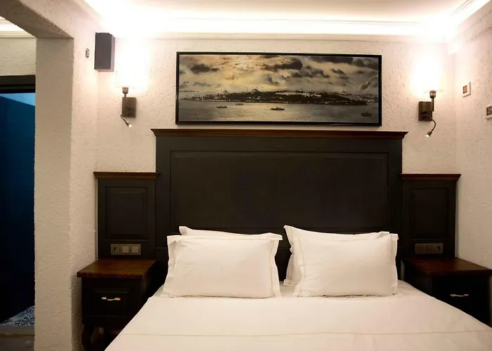 Ottomarin Old מלון איסטמבול