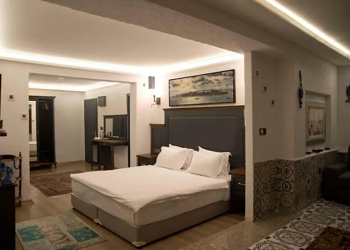 Ottomarin Old מלון